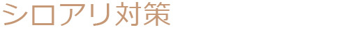 シロアリ対策